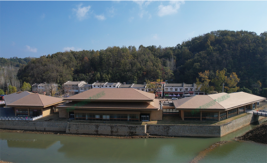 隨州千年銀杏谷游客中心